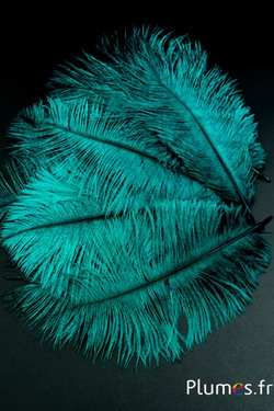 Autruche - 13-18 cm - jade